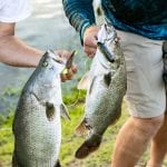 Osceola Outback Adventures